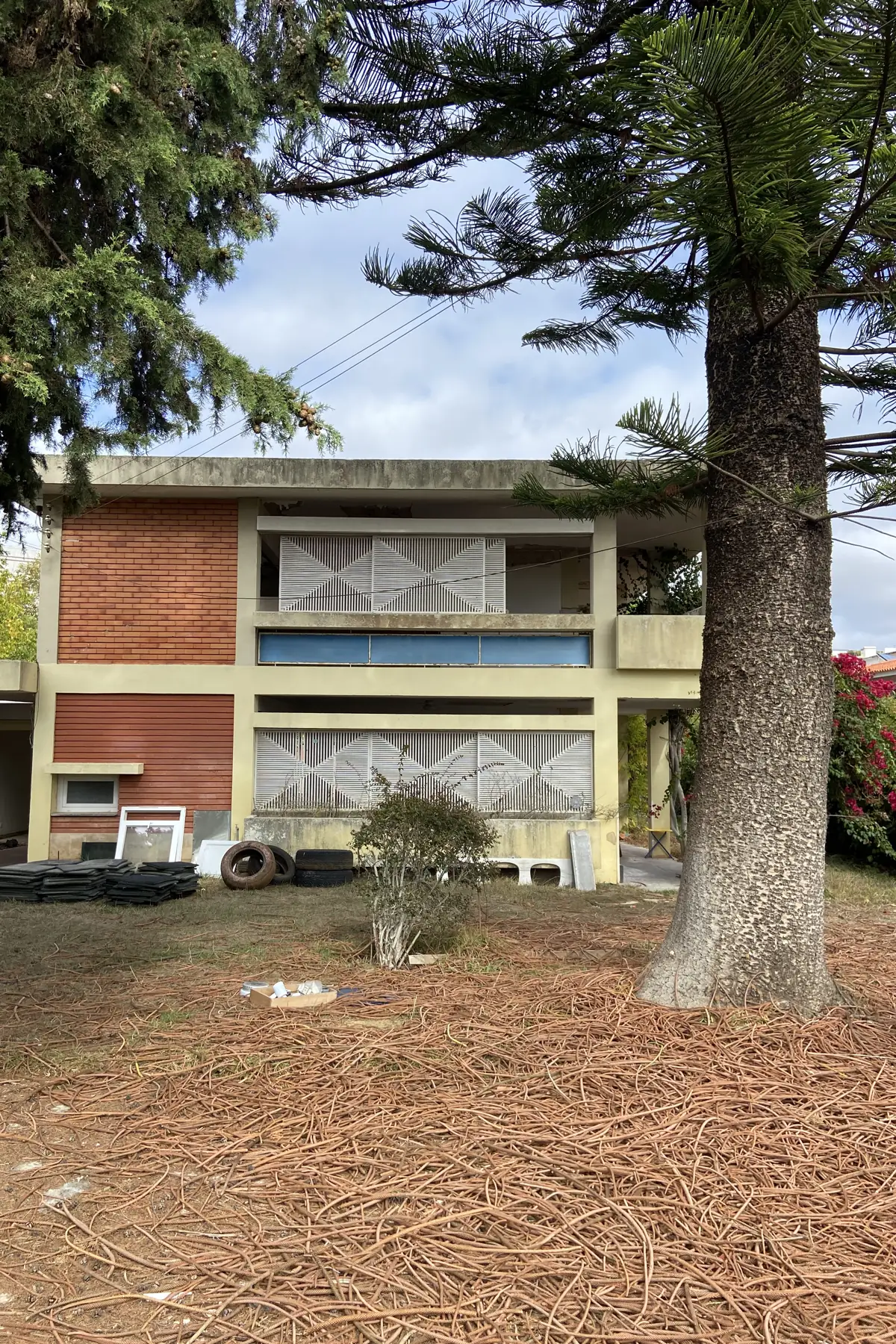 O alçado do jardim visto por trás do tronco de uma árvore grande: dois pisos, panos de tijolo e faixas horizontais claras, painéis vazados brancos atrás das varandas, uma faixa azul entre os pisos, e ramos caídos em primeiro plano.