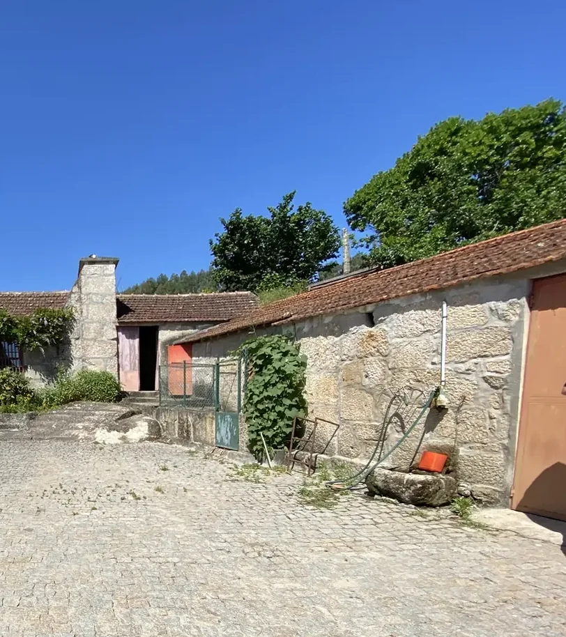 Um muro de granito com uma videira a correr ao longo dele, um tanque de pedra ao pé e um anexo rebocado de terracota ao lado.