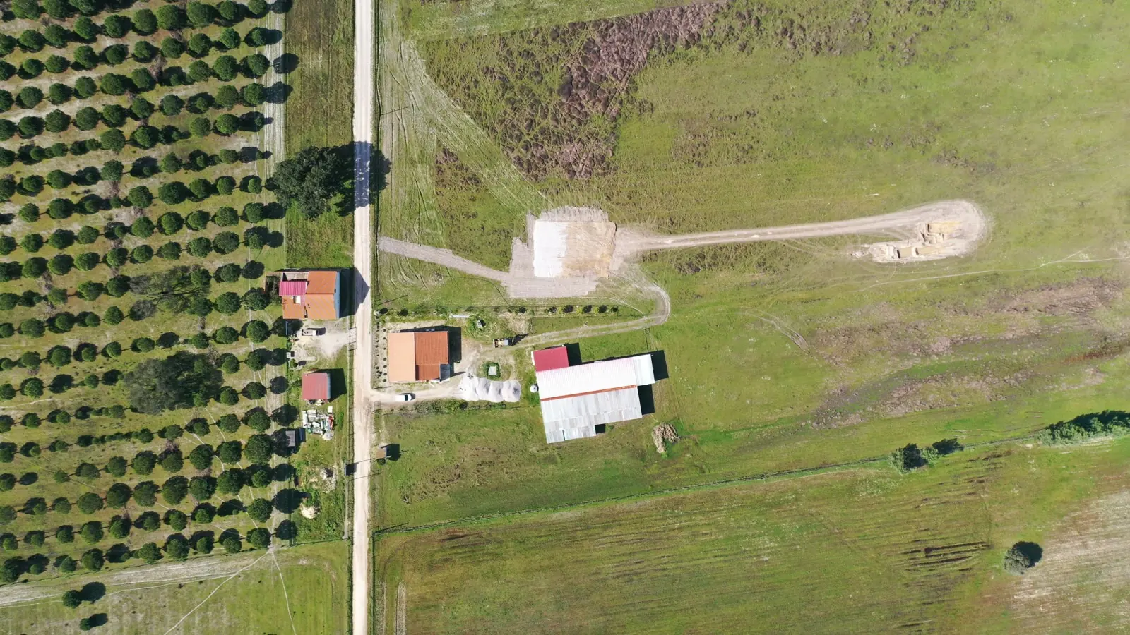 Uma vista aérea de campo aberto com um pomar de um lado, um caminho e dois pequenos edifícios agrícolas, e nenhuma construção em sítio nenhum.