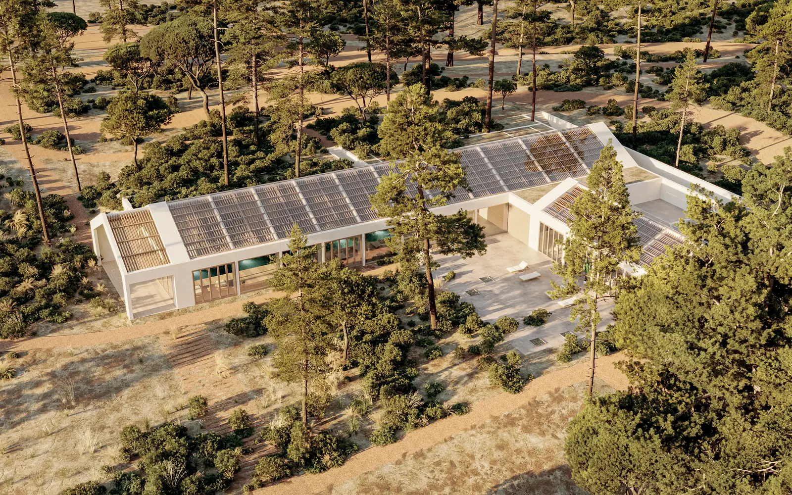 Imagem de síntese aérea de um edifício comprido e baixo entre pinheiros-mansos, com painéis solares na cobertura e uma clareira em frente.